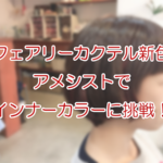 フェアリーカクテル新染料「アメシスト」でインナーカラーに挑戦!